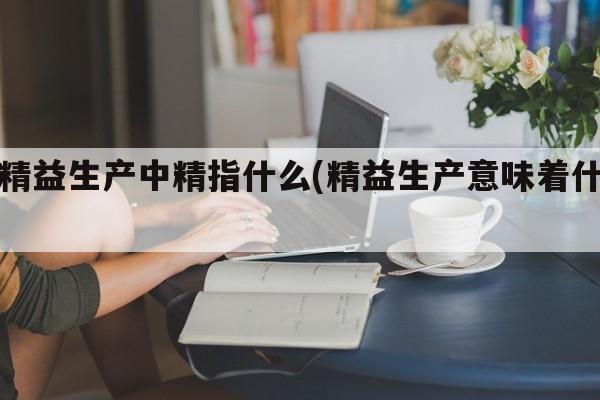 在精益生产中精指什么(精益生产意味着什么)